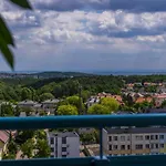 Apartment Witawa93